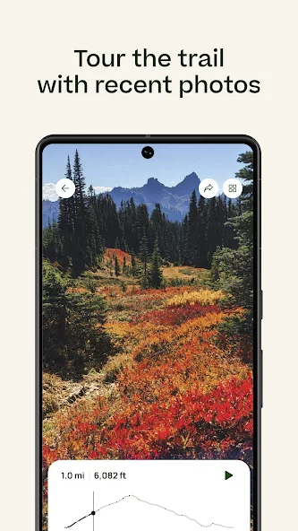 Screen